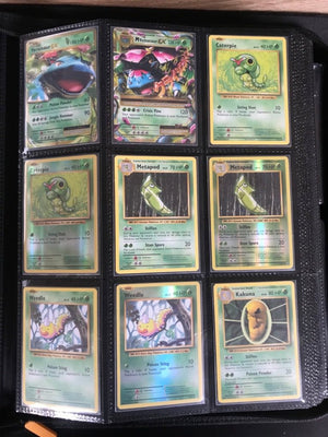 Evolution Master Set Pokemon Sammlung 216/202 Komplett Englisch (+ GRADED KARTEN) - Near Mint